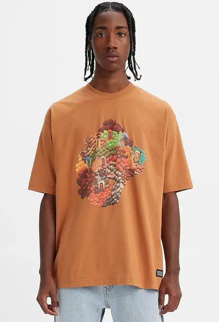 Levis Skate Graphic Box SS Tee Bask #1 Multicolour - S 