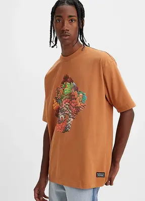 Levis Skate Graphic Box SS Tee Bask #1 Multicolour - S 